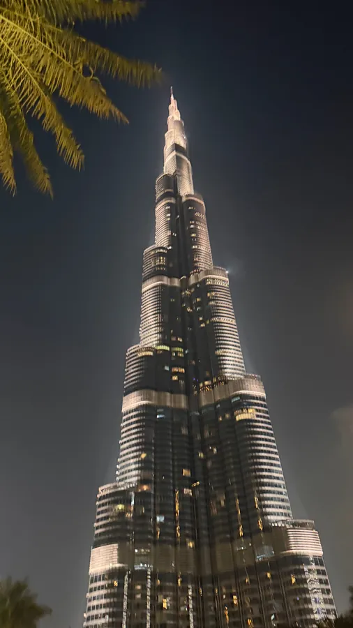 The Burj Khalifa lit up at night, seen from below with palm fronds in the corner