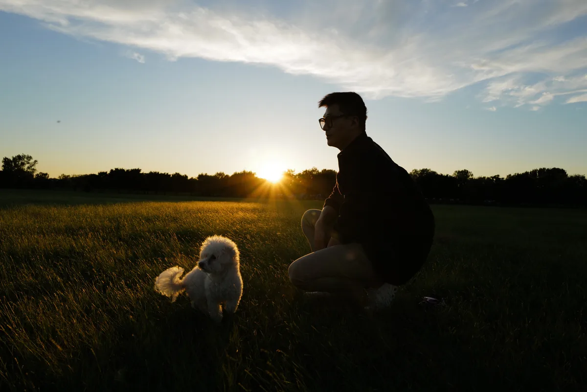 暖暖 in a golden field at sunset