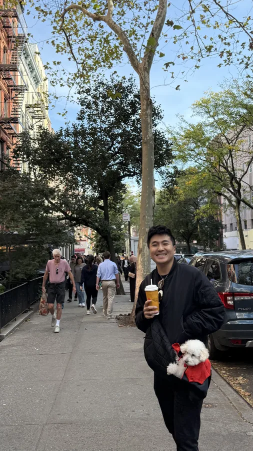 Walking through New York on the way to the dog Halloween parade